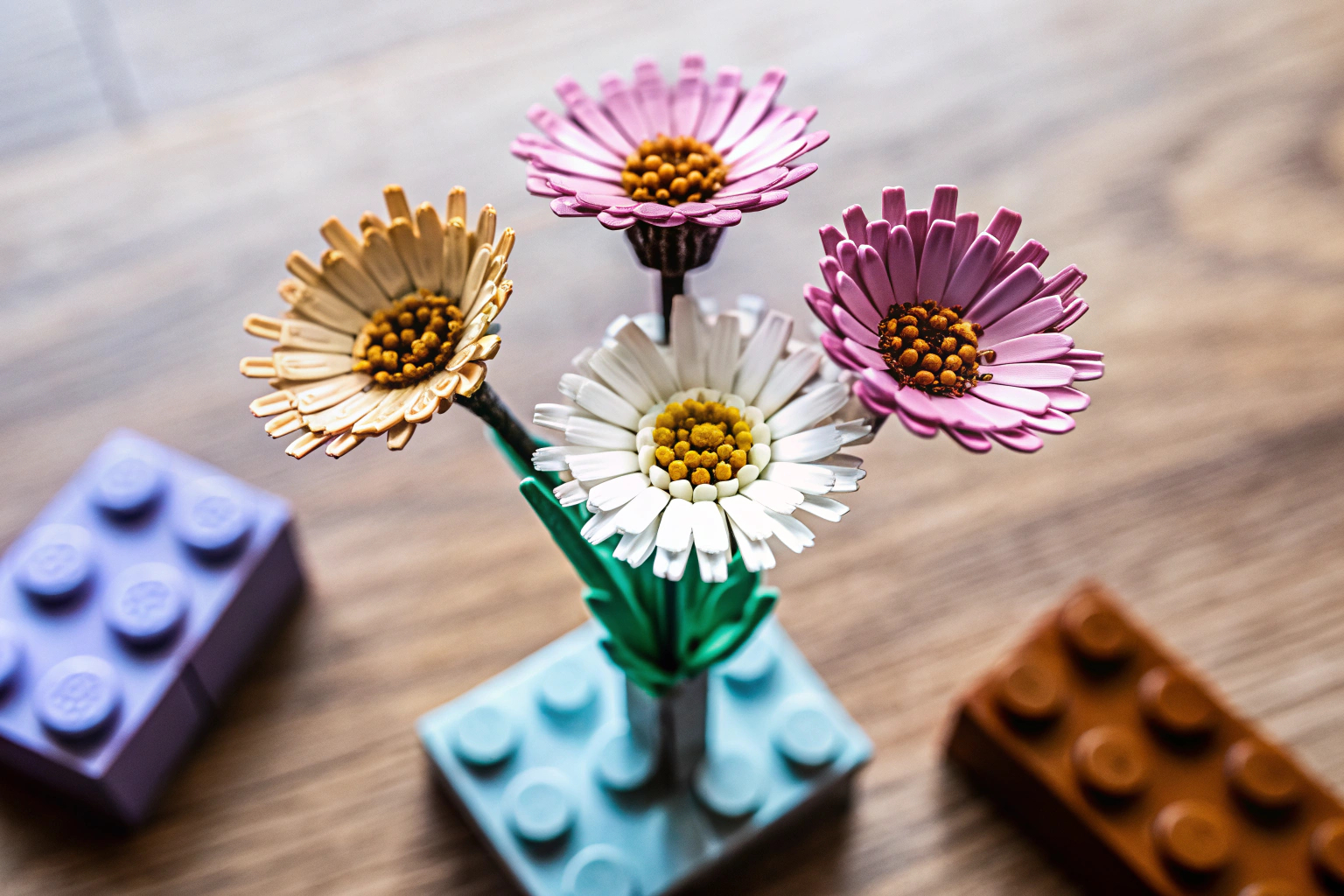 Detailaufnahme der LEGO Botanicals Chrysantheme, die zeigt, wie die Blume in verschiedenen Blühstadien gebaut werden kann. LEGO Botanicals Chrysantheme