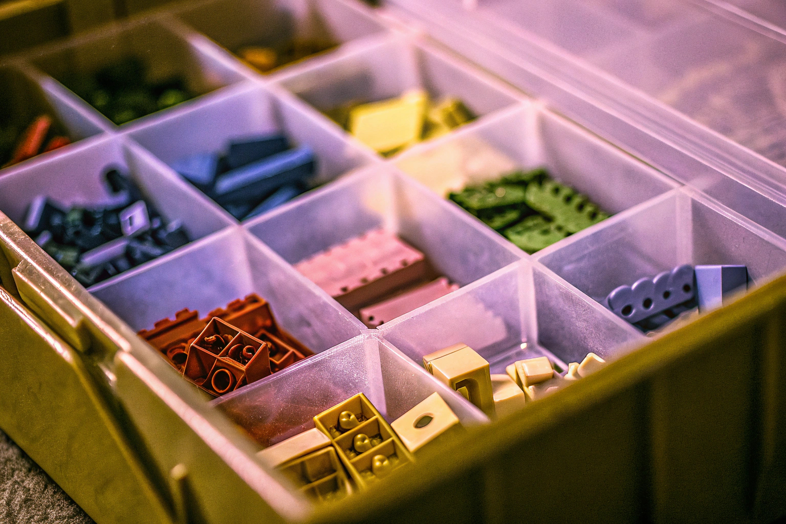 Detailaufnahme einer transparenten Sortierbox mit verschiedenen Lego-Steinen in separaten Fächern. Transparente Sortierbox mit Lego-Steinen