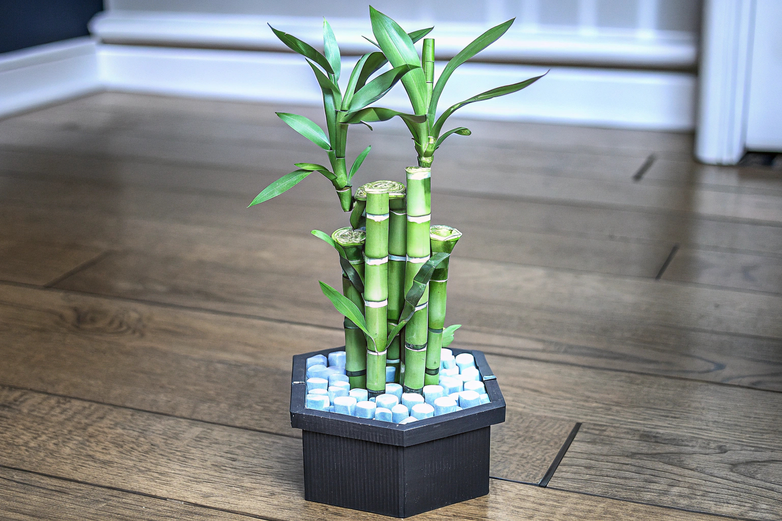 Ein LEGO Botanicals Glücks-Bambus Set, das authentische Details zeigt, perfekt für die Dekoration. LEGO Botanicals Glücks-Bambus