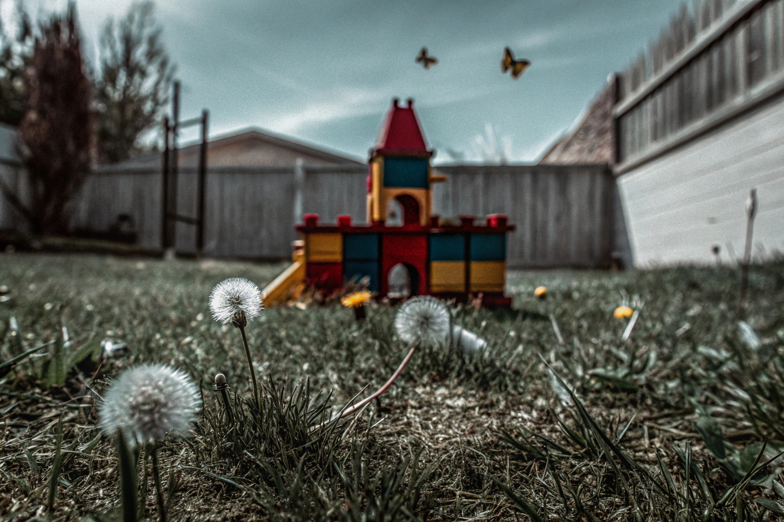 Kinder bauen eine Höhle mit dem Tiny Land Konstruktionsspielzeug Kinder bauen Höhle im Garten