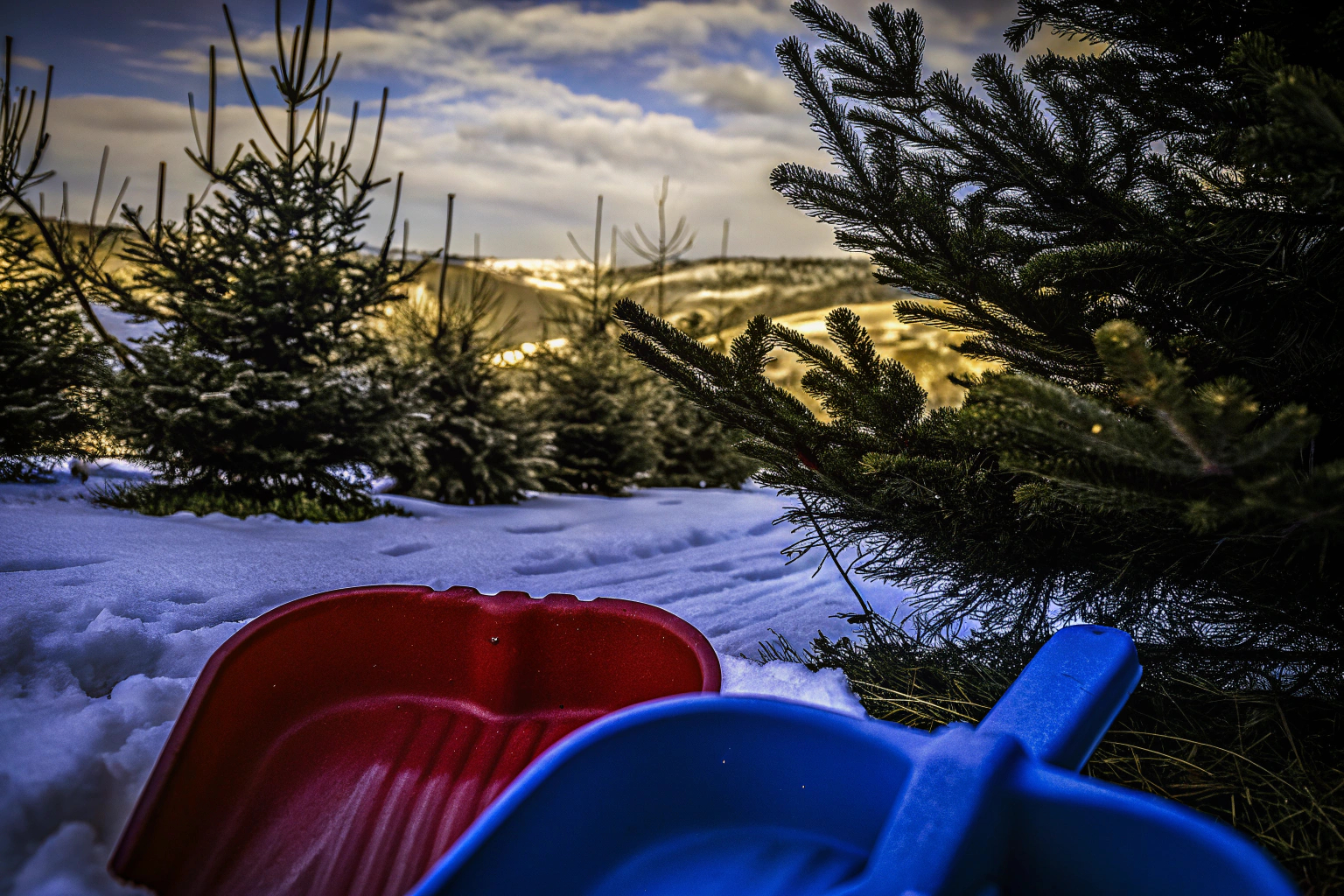 Kinder, die im Schnee spielen und dabei Schneebälle formen. Kinder beim Schneeballspielen