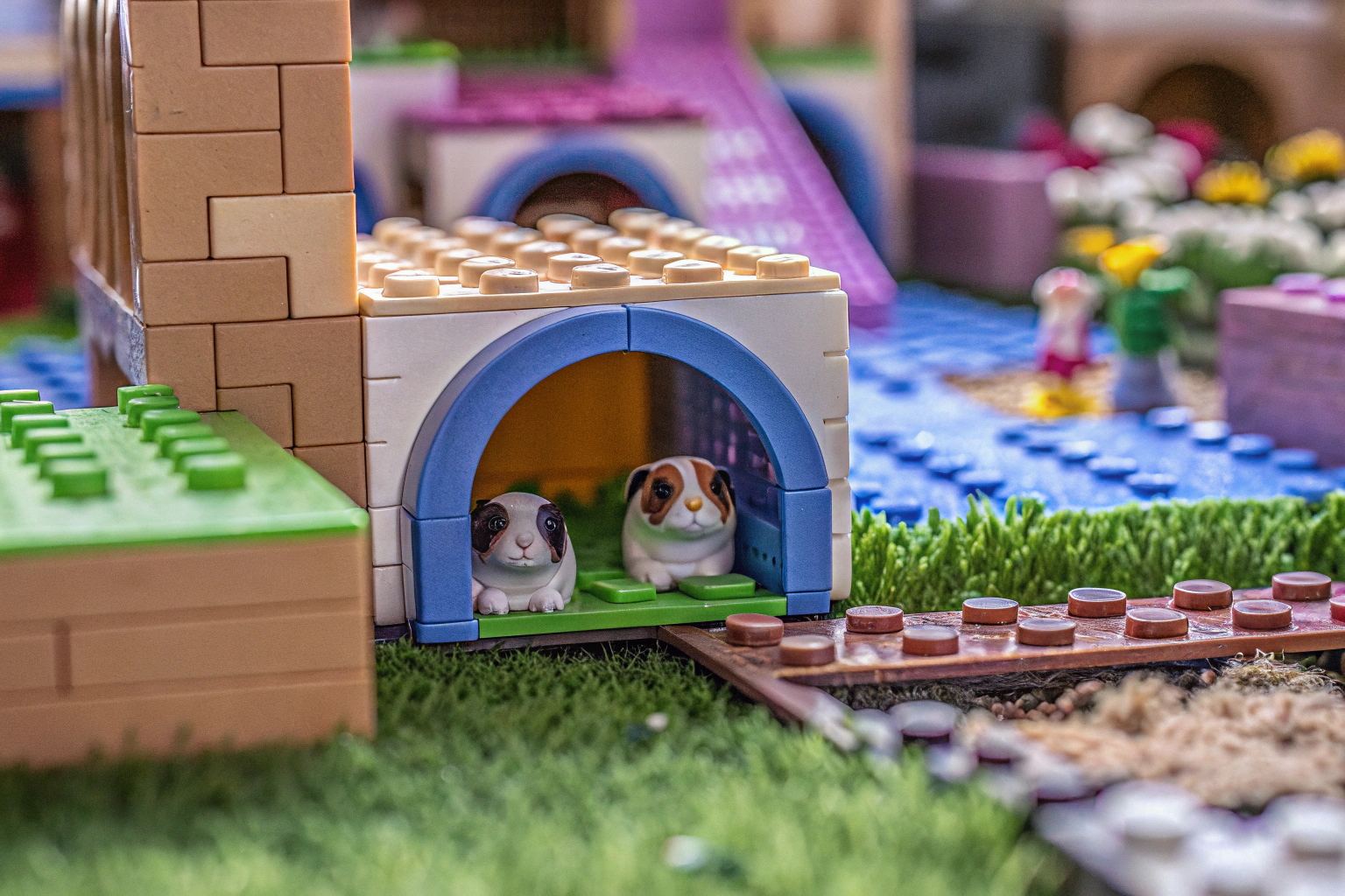 Kinder spielen mit dem LEGO Friends Meerschweinchen Spielplatz. LEGO Friends Meerschweinchen Spielplatz im Spiel