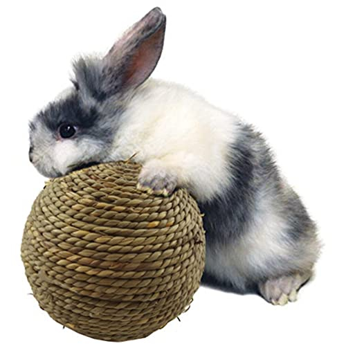 PULABO Kleines Haustier Kauspielzeug-Naturrasen Ball